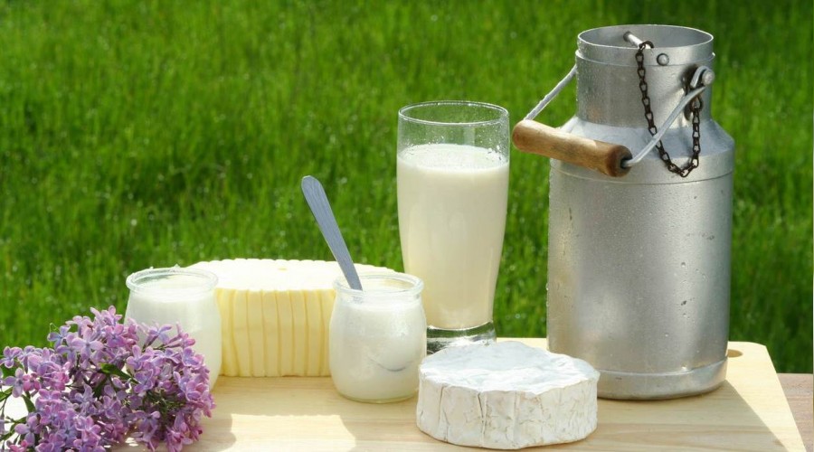 Kafkaslardan gelen zırh: Kefir