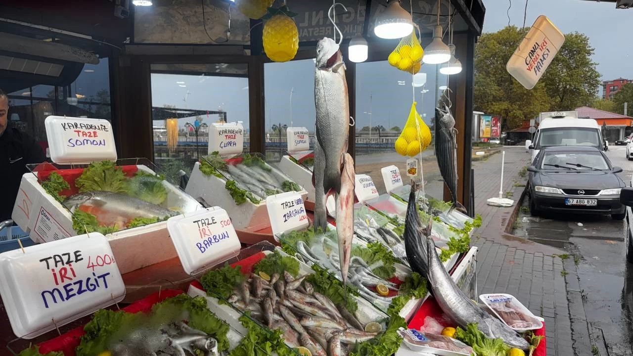 Karadeniz'de bu y�l hamsi beklentisi b�y�k