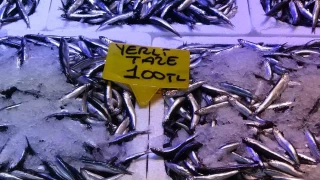 Karadeniz'de hamsi fiyat 100 TL'ye dt