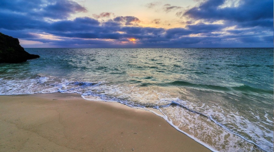 �Karde�lerinize sevgi izhar�nda bulunun�