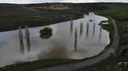 Kars'ta ağaçlar sular altında kaldı
