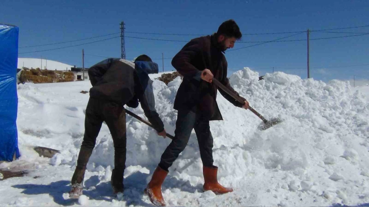 Kars'ta beyaz esaret