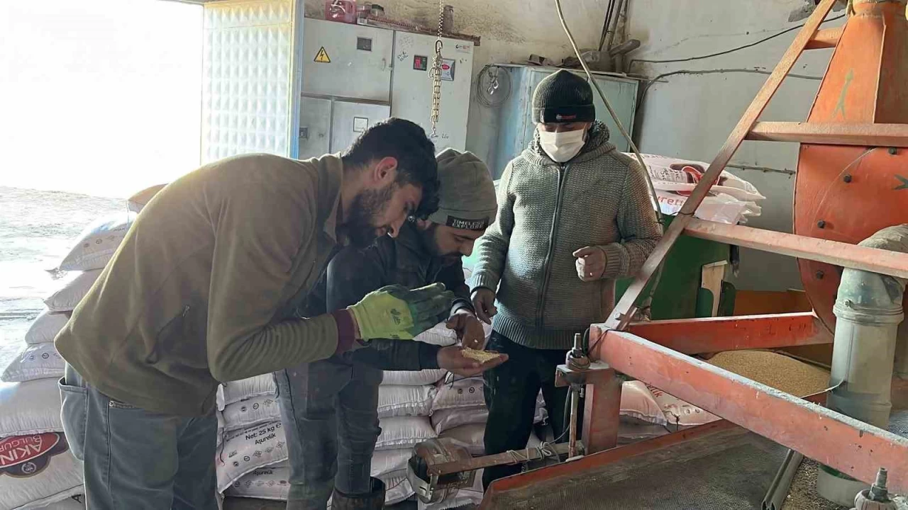 Kars'ta değirmenlerde mesai başladı
