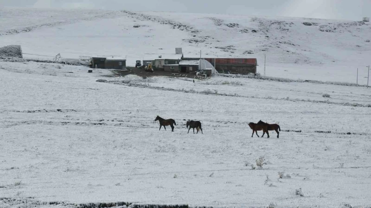 Kars'ta yüksek kesimler beyaza büründü