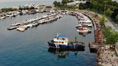 Kartal Sahili deniz salyasından temizlendi