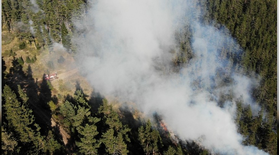 Kastamonu ormanlar� 4 g�nd�r yan�yor