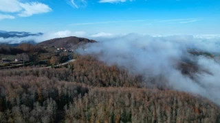 Kastamonu'da vadilere çöken sis