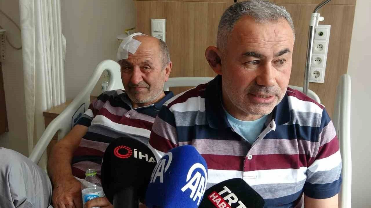 Kastamonu'da yaralı kurtulan yolcu: Ağaç olmasaydı hepimiz ölmüştük