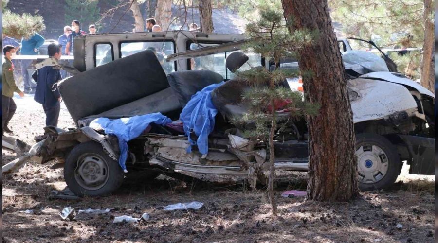 Kazada sorumlu 'çam ağacı' oldu