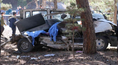 Kazada sorumlu 'çam ağacı' oldu