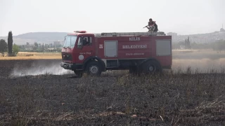 Kilis'te buğday tarlasında yangın