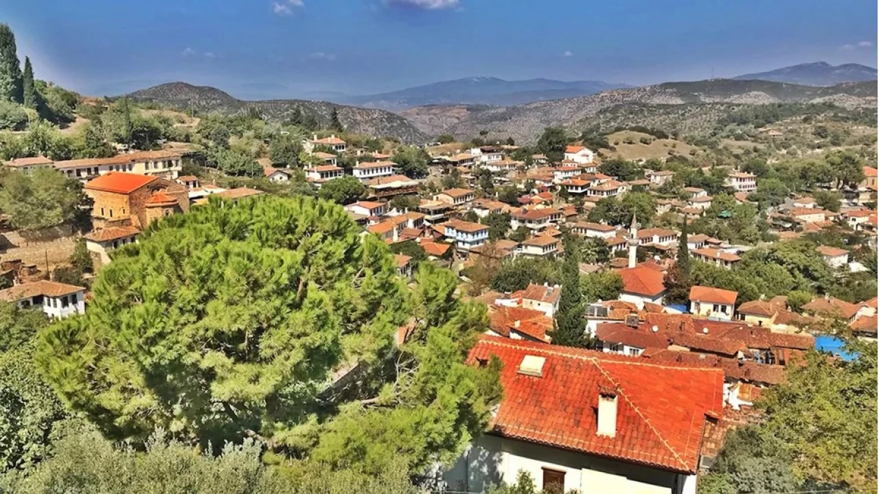 Kınık'ta tarım: Bereketli topraklar, zorlu koşullar