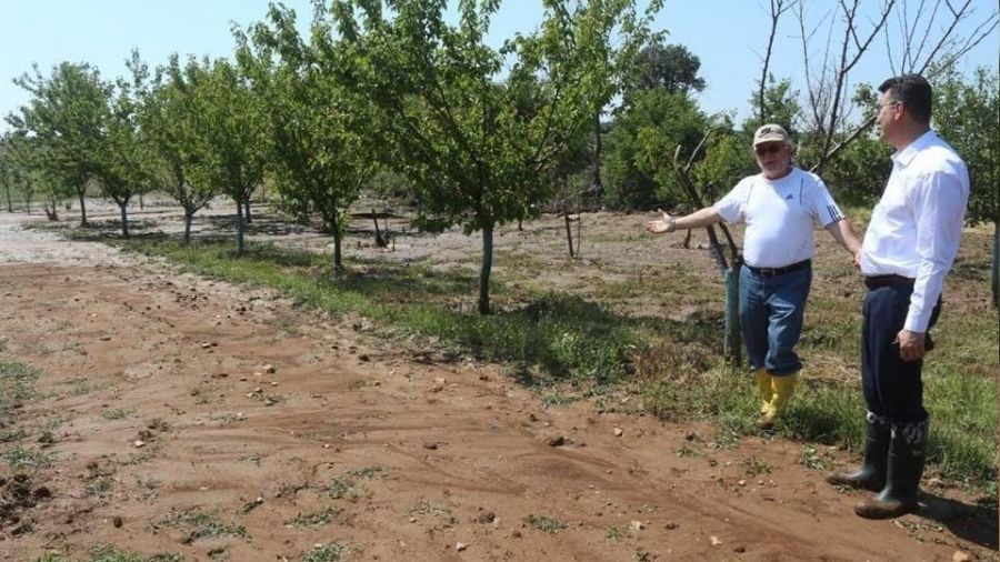 Kırklareli'nde dolu tarım arazilerine zarar verdi