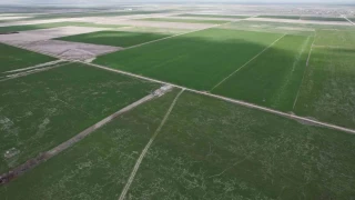 Konya Ovası'nda toprak suya doymadı