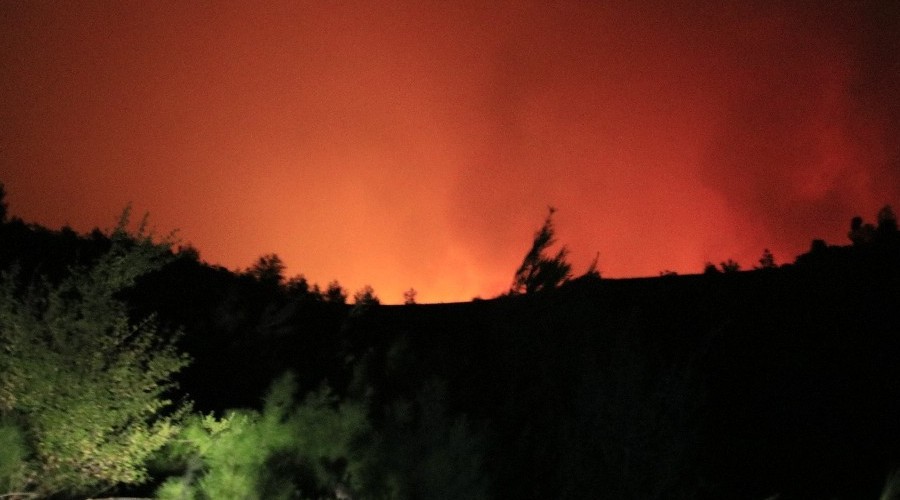 Kozan'daki orman yangını devam ediyor