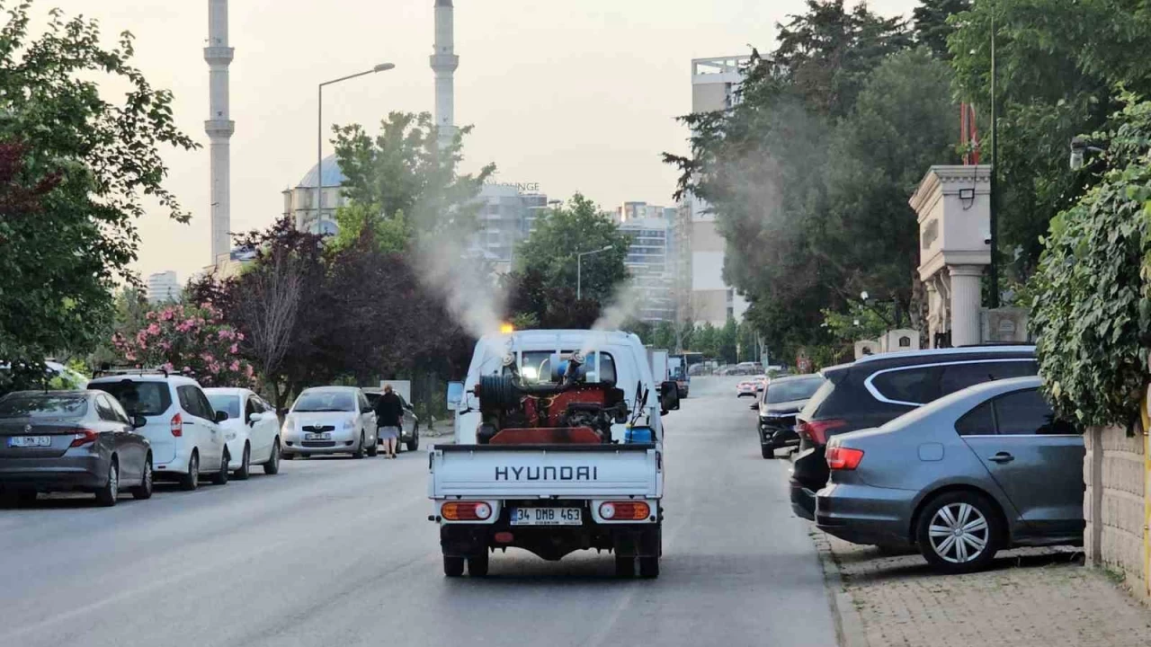 Kkekmece Belediyesi sivrisineklere kar alarmda