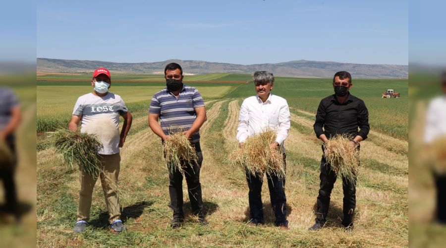 Kurakl�k arpa ile bu�day� vurdu