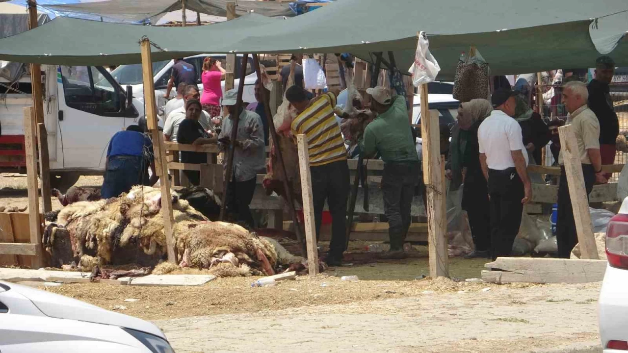 Kurbanl�k fiyatlar� y�zde 40 d��t�