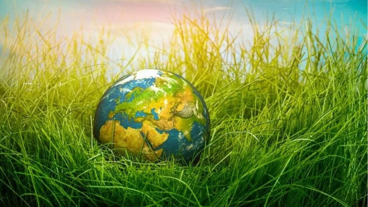 Kresel evre baars: Bilim insanlarndan sevindirici haber