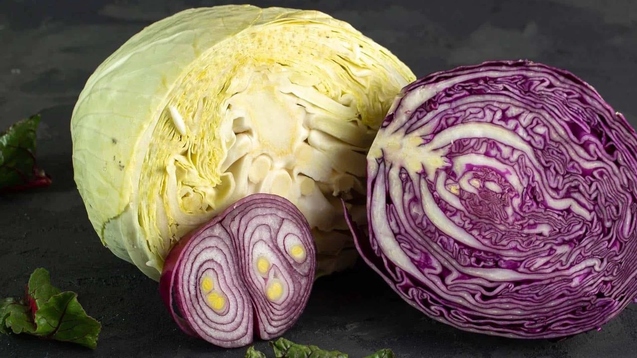 Lahanann kantlanm 6 gl etkisi