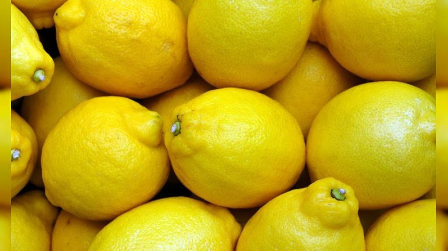 Limon üreticisi perişan ötesi