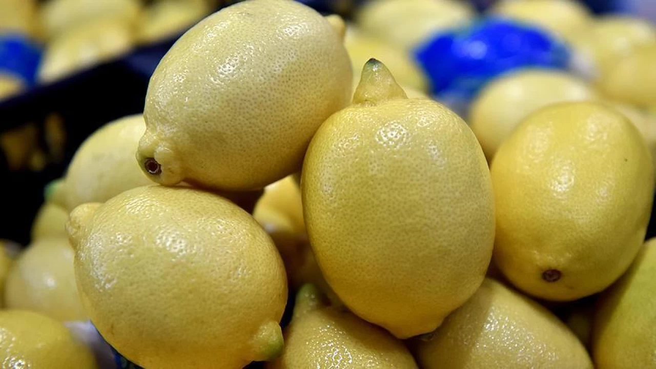 Limonun fiyatı roketledi