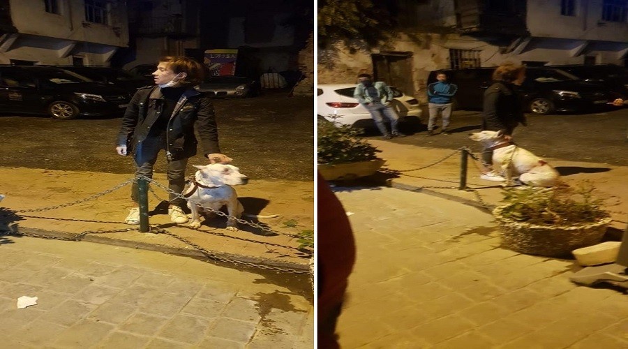 Mahalleli Amerikalının köpeğine karşı ayağı kalktı