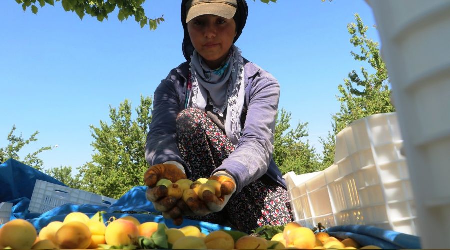Malatyal�lardan 'kay�s�' tepkisi