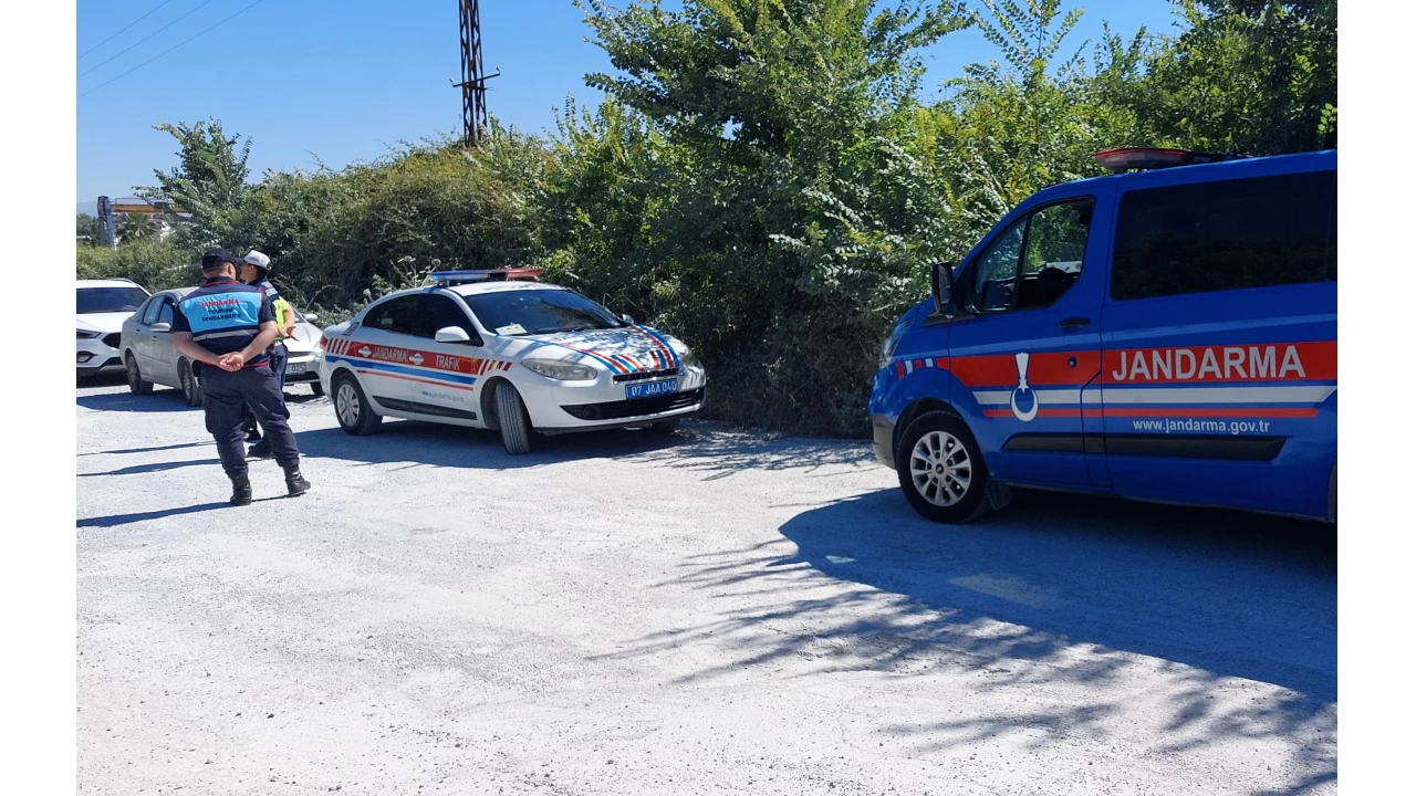 Manavgat'ta hayvan parkından kaçan aslan bir kişiyi yaraladı
