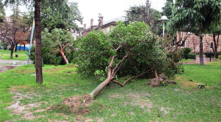 Manisa'daki fırtınanın hasarı büyük