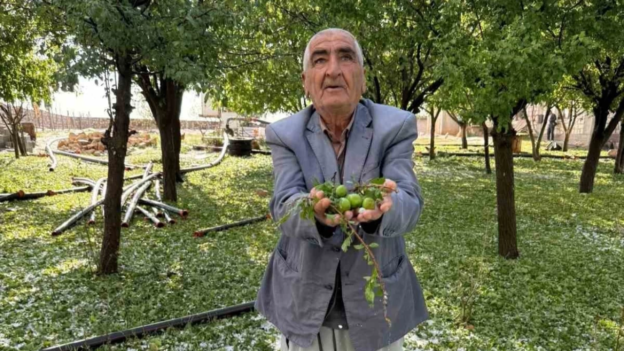 Mardin'de binlerce dekar arazi doludan etkilendi