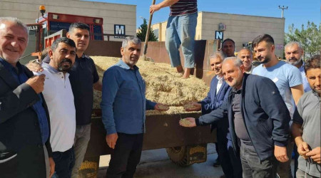 Mardin'de ilk arpa hasadı başladı