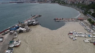 Marmara Denizi'nde yine msilaj tehdidi