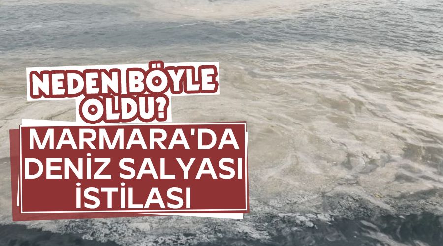 Marmara'da deniz salyas� istilas�, neden b�yle oldu?