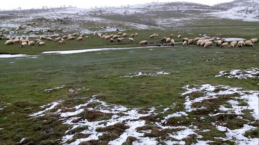 Mayıs ayında kar