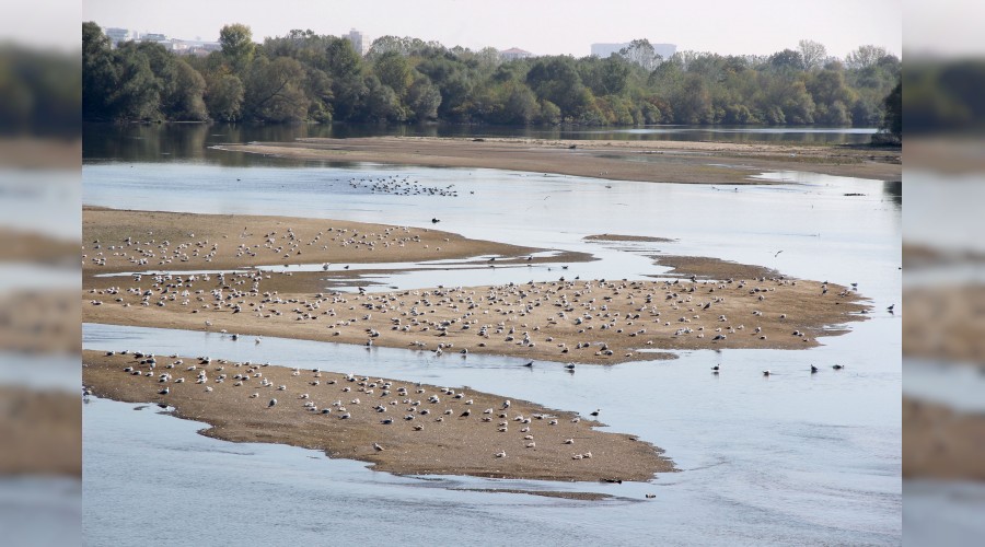 Meri Nehri'nde su kalmad