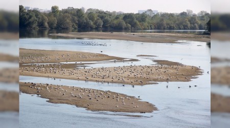 Meriç Nehri'nde su kalmadı
