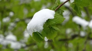 Meteorolojiden yağış ve zirai don uyarısı