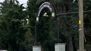 Mezar ziyareti yapan aileye silahlı saldırı: 4 gözaltı