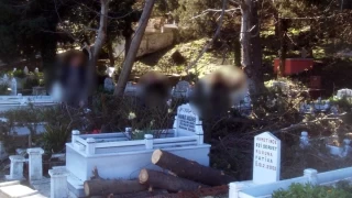 Mezarlık'ta defineci operasyonu: 6 gözaltı