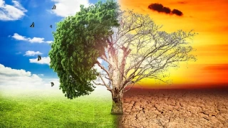 Mikroiklimlerin insan sağlığı üzerindeki etkileri