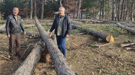 Milli Emlak'tan kiraladığı ormanda katliam yaptı
