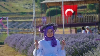 Morun kalbine yolculuk: Kuyucak Lavanta Vadisi