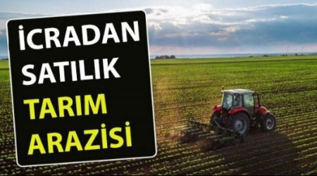 Muğla Seydikemer'de satılık tarla