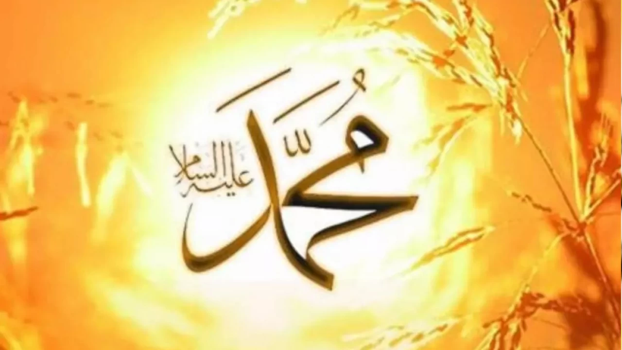 Muhammediyye: Peygamber Efendimizi �ven muhte�em bir eser