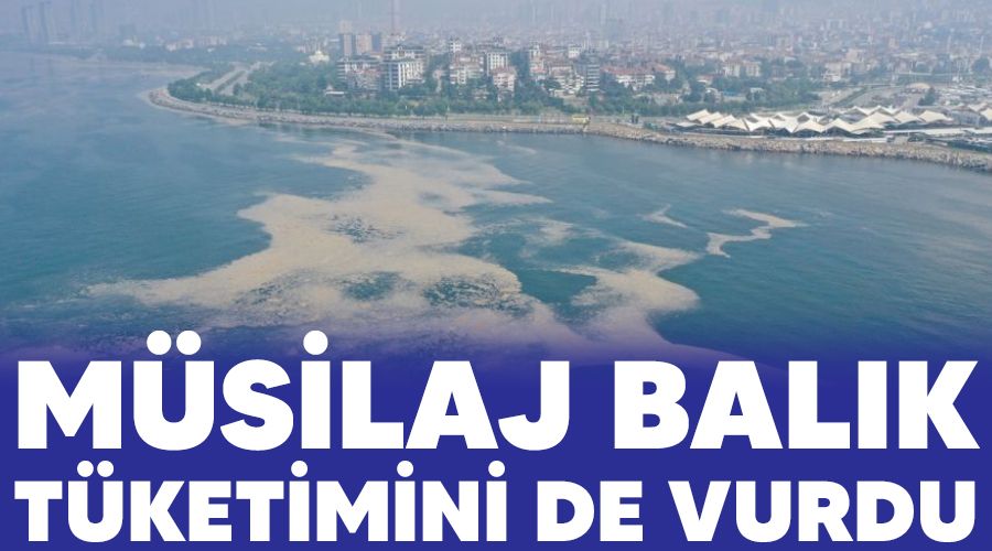 Müsilaj balık tüketimini de vurdu