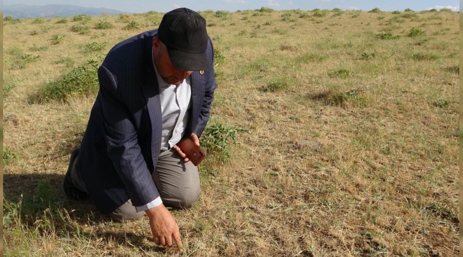 Mu�lu �ift�ilerin �ekirge endi�esi