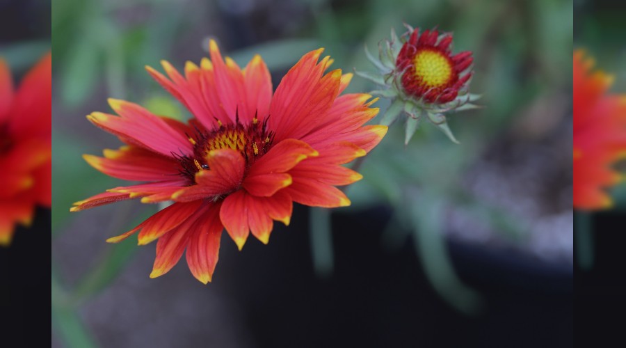 �Namaz k�lana selam verme!�