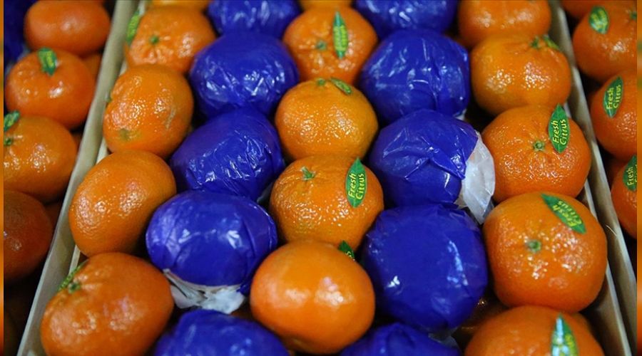 Narenciyede alternatif pazar aranıyor