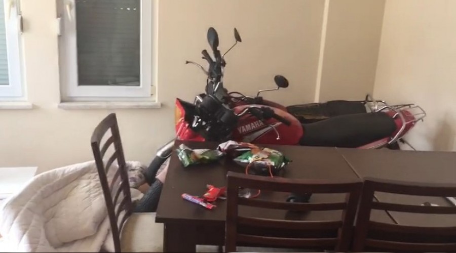 Noveçli motosiklet hırsızları yakalandı